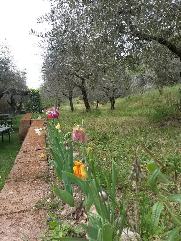 Agriturismo Camparella Pastrengo Eksteriør bilde