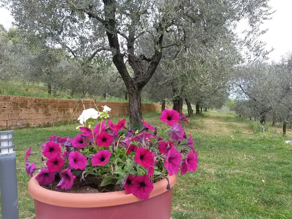 Agriturismo Camparella Pastrengo Eksteriør bilde