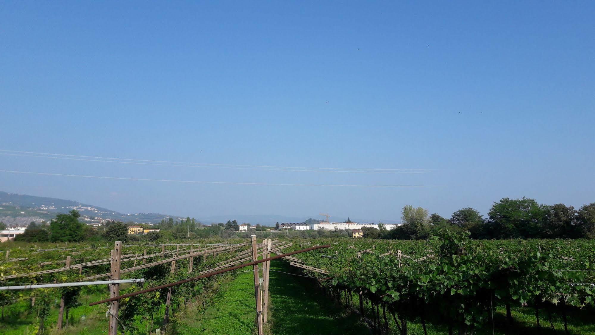 Agriturismo Camparella Pastrengo Eksteriør bilde